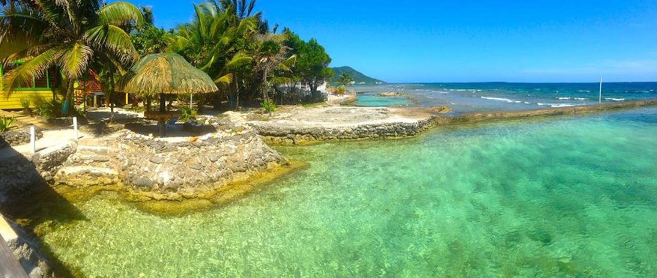 Reef House Resort Oak Ridge Bagian luar foto