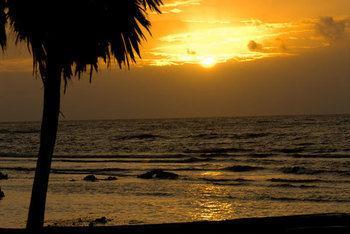 Reef House Resort Oak Ridge Bagian luar foto